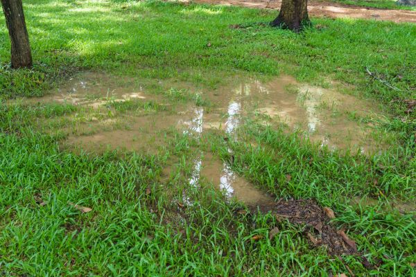 Storm Water Drainage Service in Vancouver