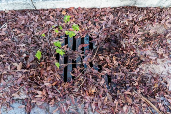 Yard Drain Unclogging in Vancouver