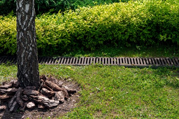 Wet Yard Drainage in Vancouver