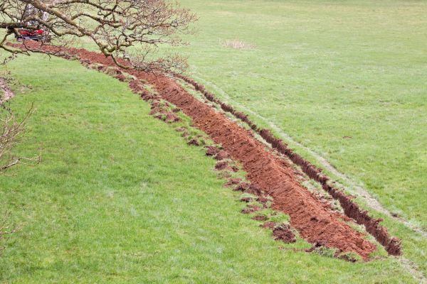 Cost of Swale Installation in Vancouver