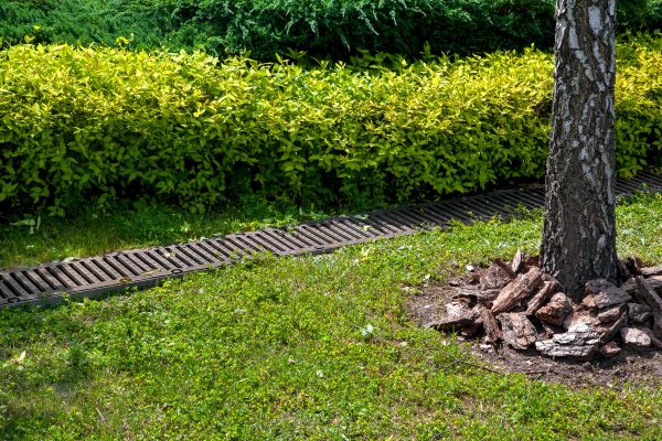 Residential Landscape Drainage in Vancouver