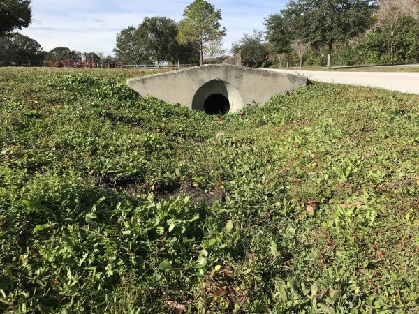 Cost of Swale Drainage Service in Vancouver